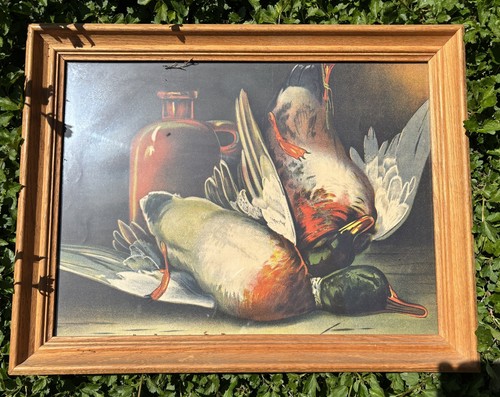 Framed Duck and goose pictures prints, ready for hanging