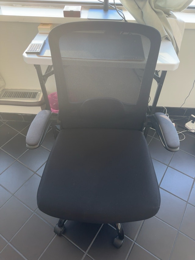 Ergonomic Office Chair - Adjustable Lumbar & Mesh Back