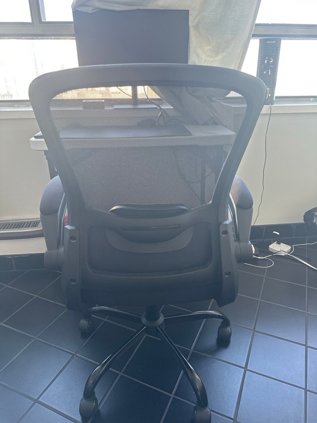 Ergonomic Office Chair - Adjustable Lumbar & Mesh Back - photo 2