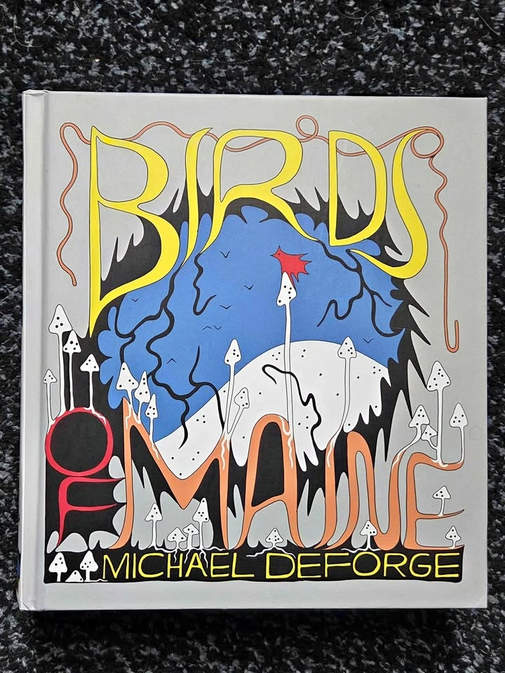 Birds of Maine by Michael DeForge