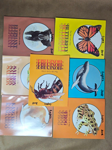 The Life Cycle of the Paperback Illustrated Picture Book