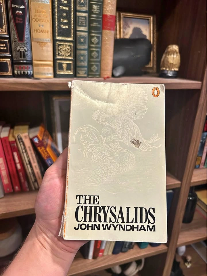 The Chrysalids by John Wyndham
