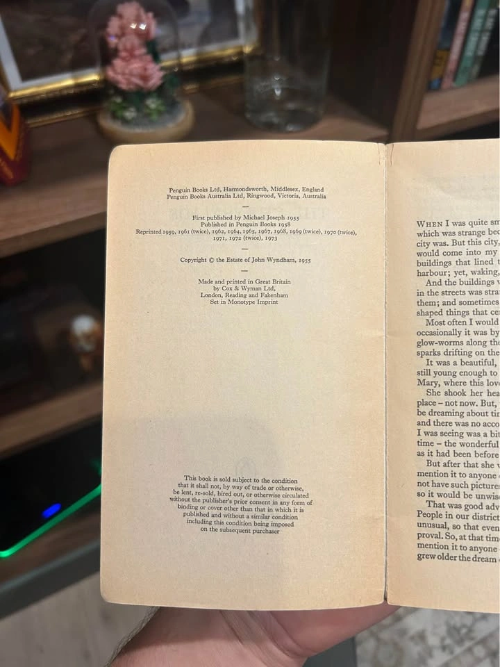 The Chrysalids by John Wyndham - photo 3