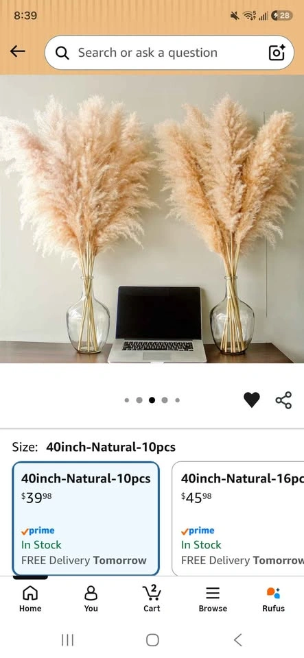 Stems natural pampas grass decor - photo 4