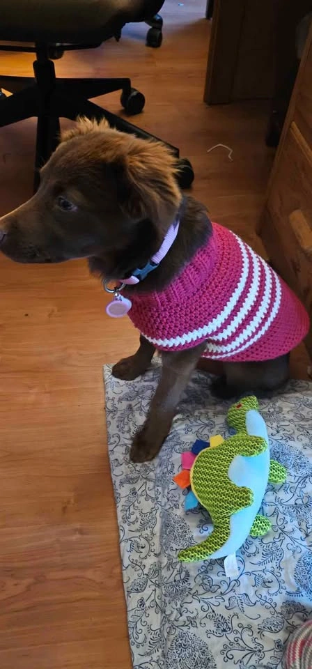 Dog sweater 20" circumference x 14" long - photo 3