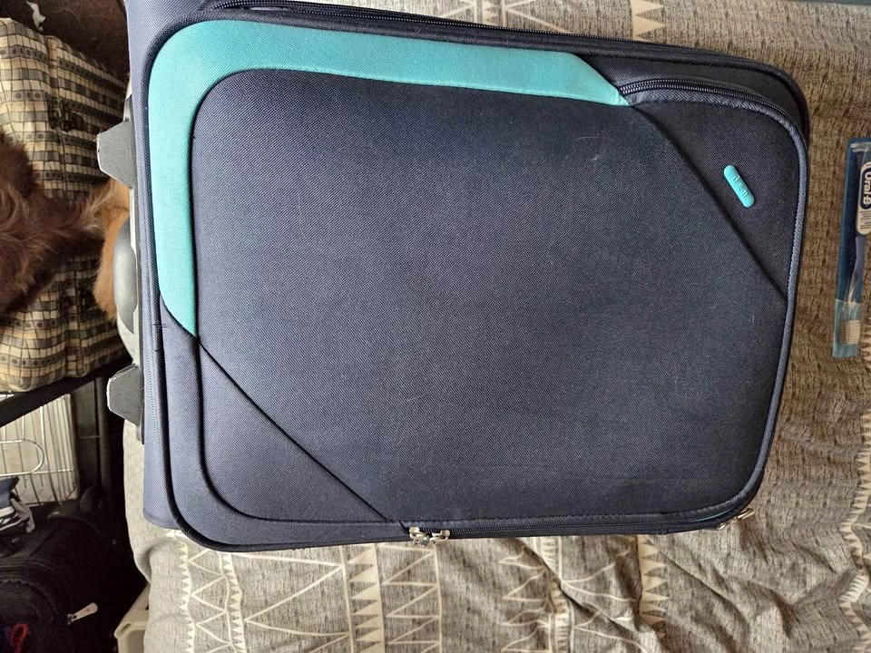 IT Luggage Soft-Shell Rolling Suitcase