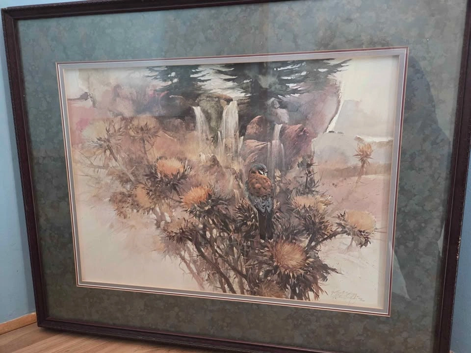 Framed Morten E. Solberg Signed Kestrel Print 263/1250 - photo 2