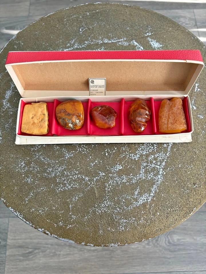 Vintage USSR Kaliningrad Souvenir Amber Stone Set Original Box