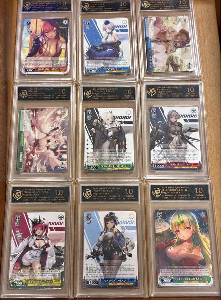 APG 10 Weiss Schwarz Slabs (Nikke+more)