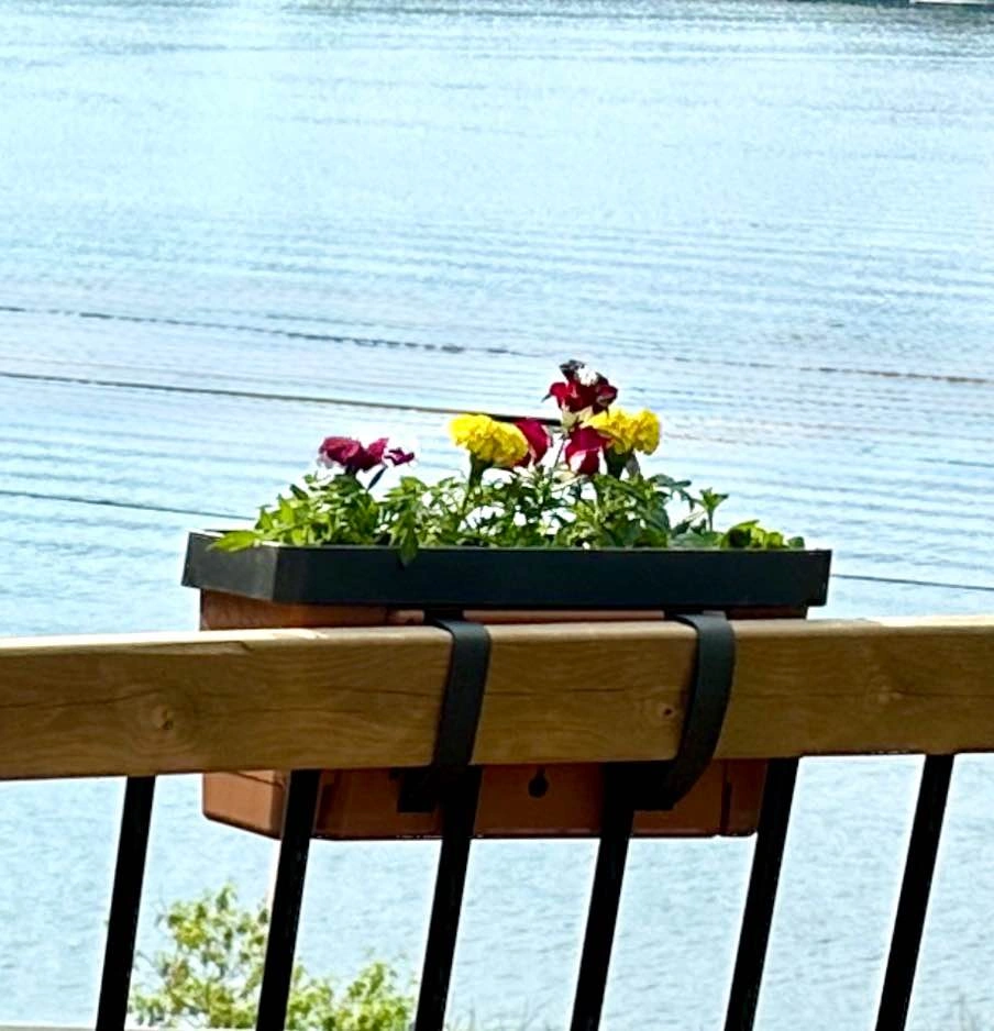 2 Botanica Modular Self-Watering Hanging Garden Planters - photo 4