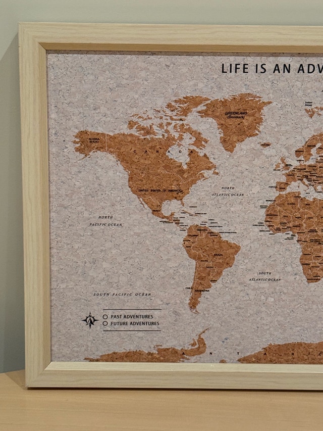 Splosh World Map Cork Board Framed - photo 2