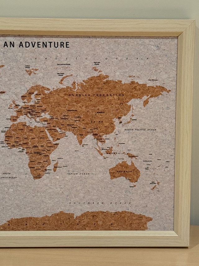 Splosh World Map Cork Board Framed - photo 3