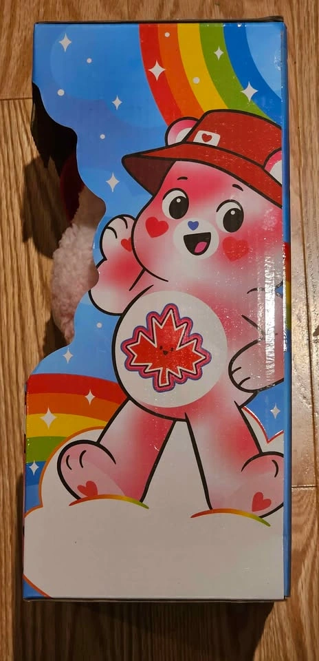 Care Bears True North Bear Plush – Brand New in Box - photo 4