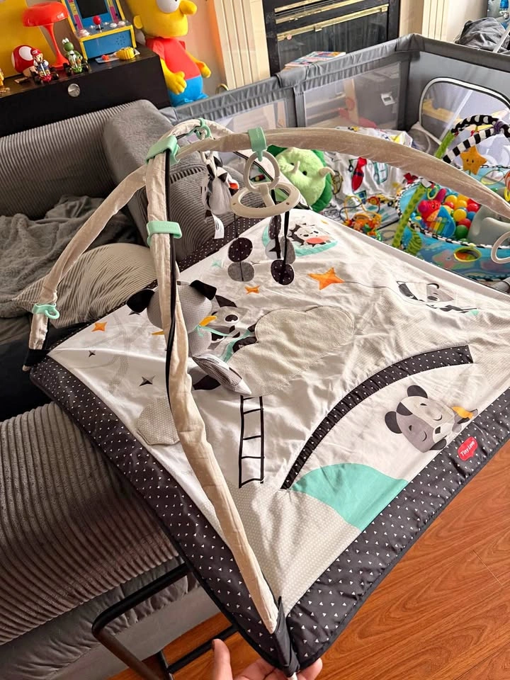 Baby Play Gym