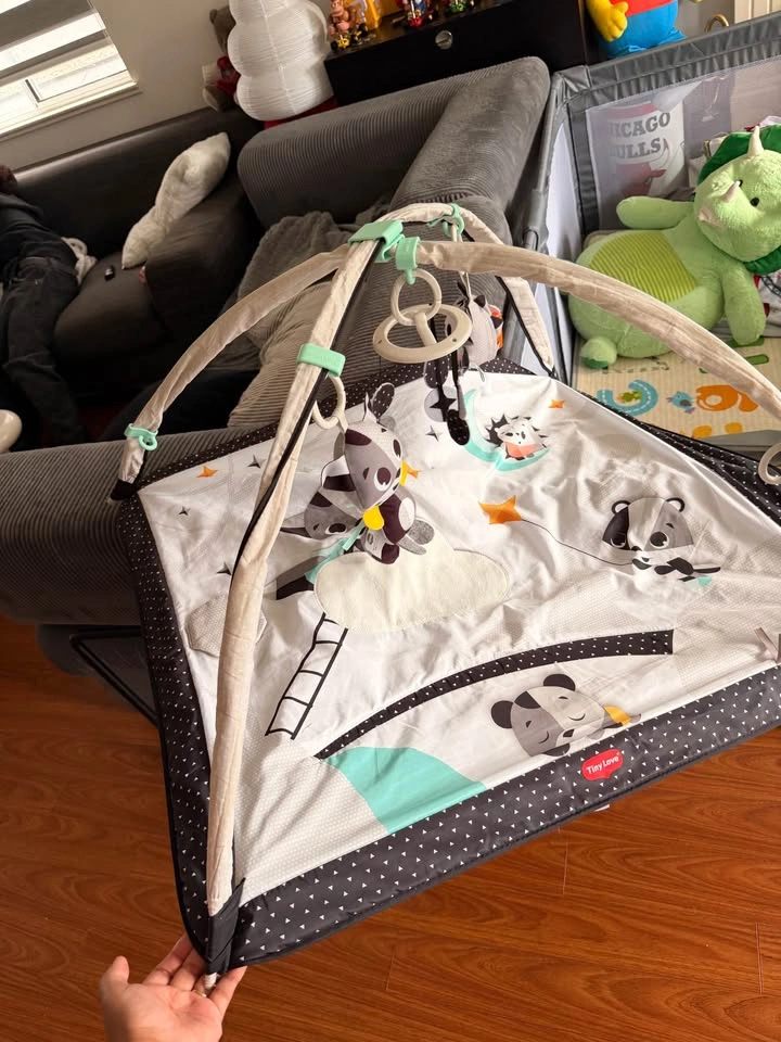Baby Play Gym - photo 2