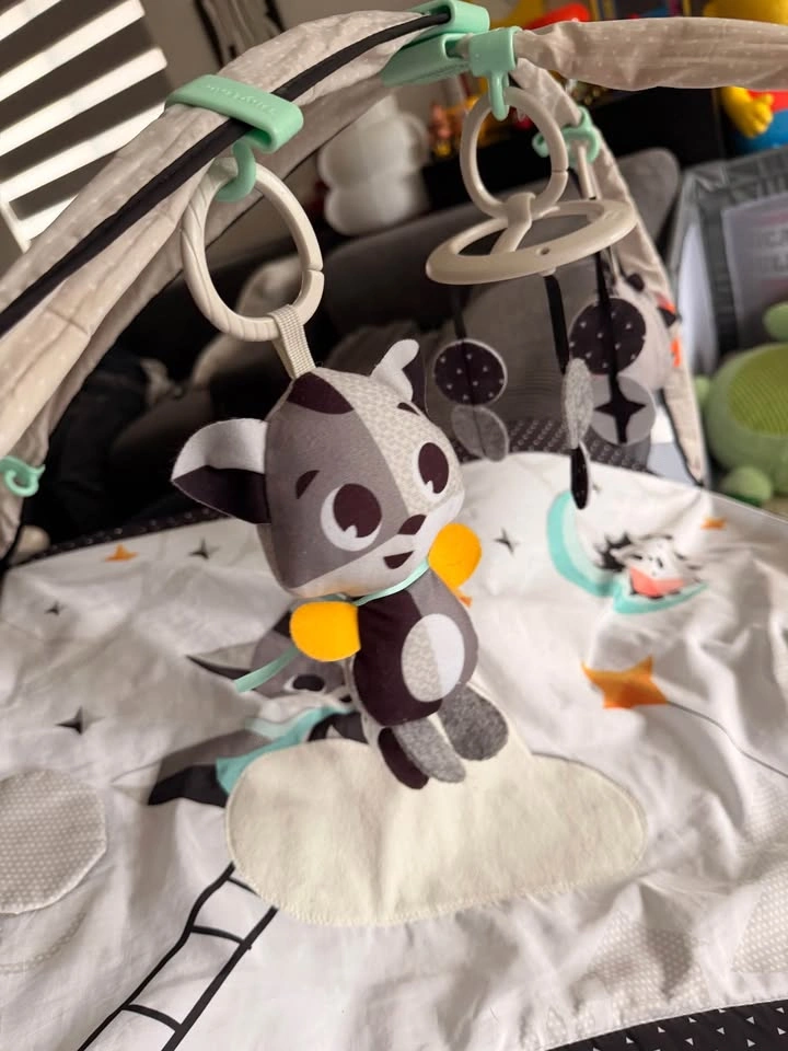 Baby Play Gym - photo 3