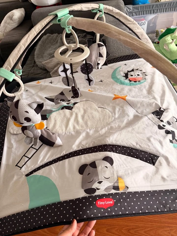 Baby Play Gym - photo 4