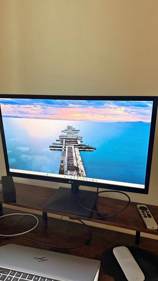 LG LED Monitor