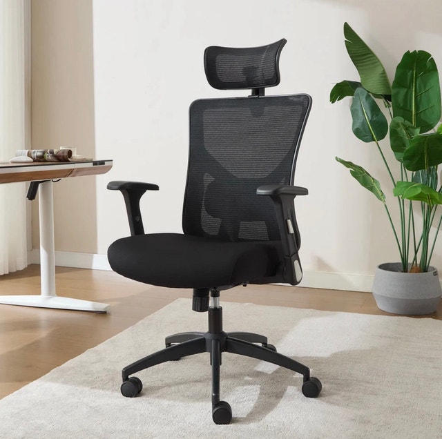 Brand New True Wellness Ergonomic Mesh Office Chair