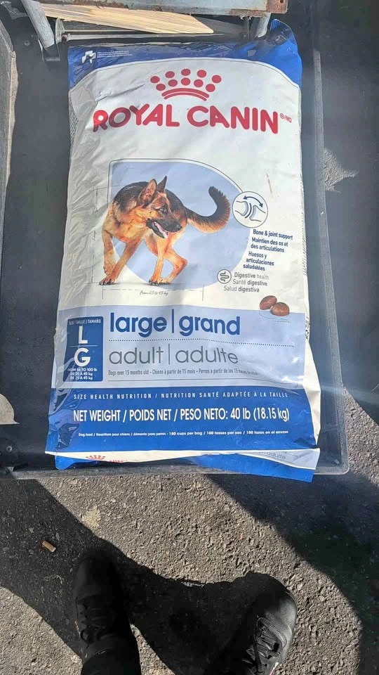 Royal Canin adult dog food
