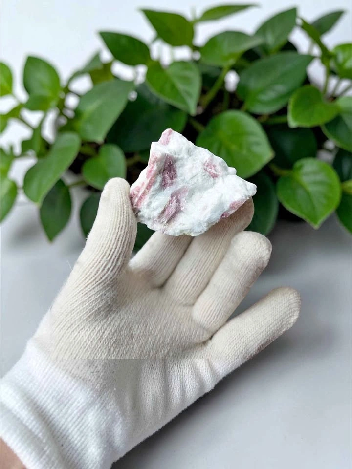 Natural Pink Tourmaline in White Quartz Raw Mineral Specimen