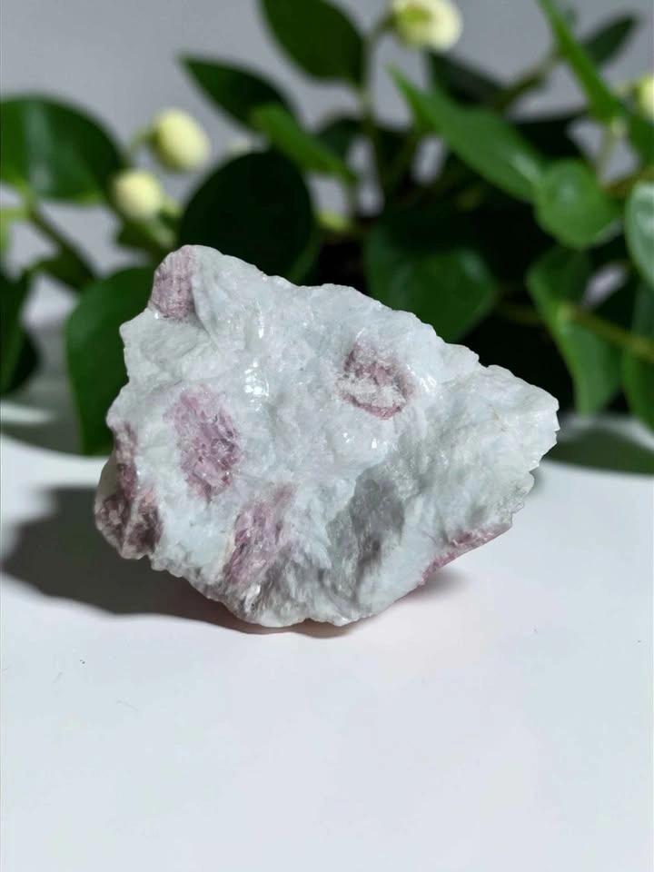 Natural Pink Tourmaline in White Quartz Raw Mineral Specimen - photo 3