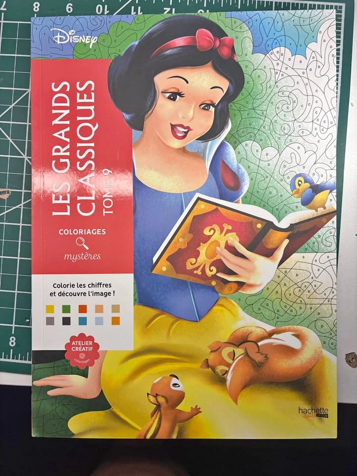 Disney Color By Number Grand Classique. Will trade for tonies