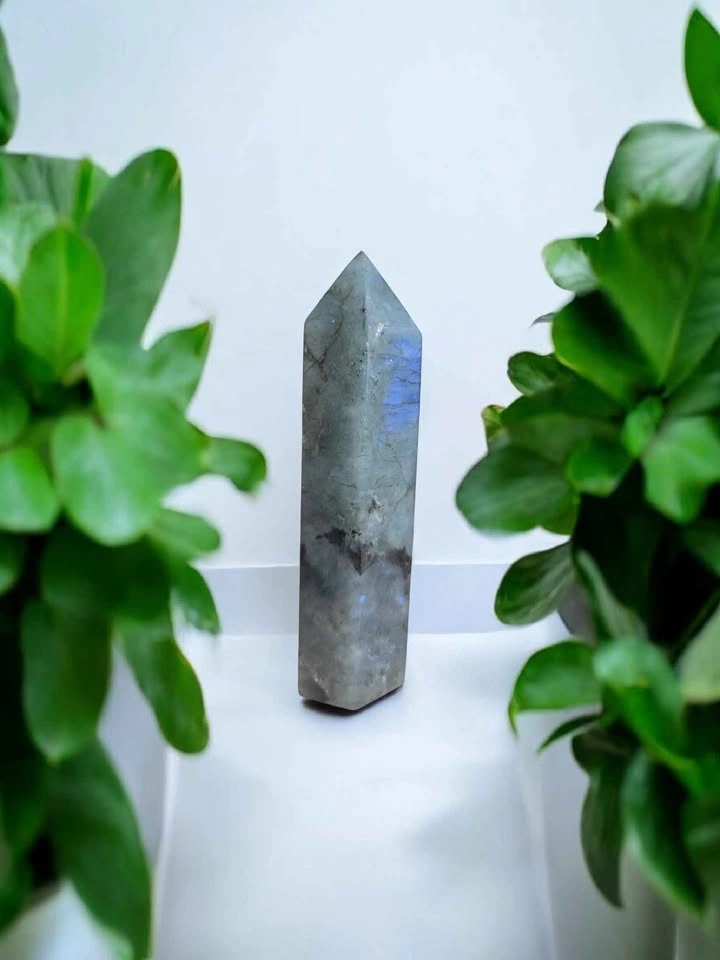 Natural Labradorite Crystal Point • Polished Standing Tower - photo 2