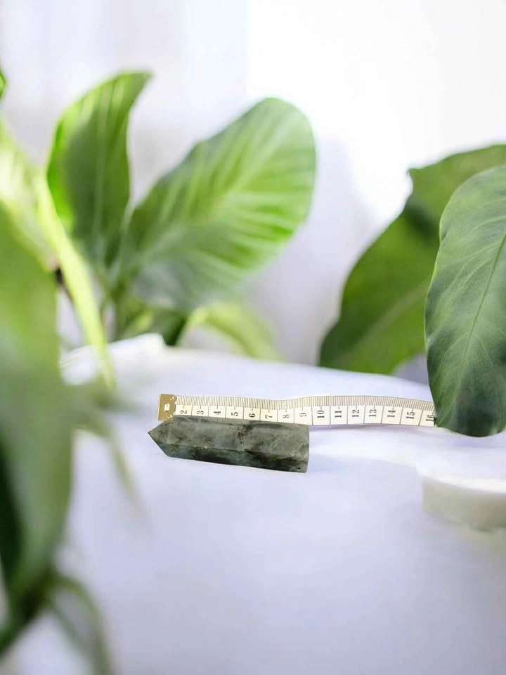 Natural Labradorite Crystal Point • Polished Standing Tower - photo 5