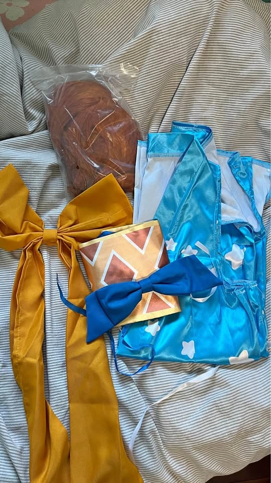 One piece Nami Costume Adult
