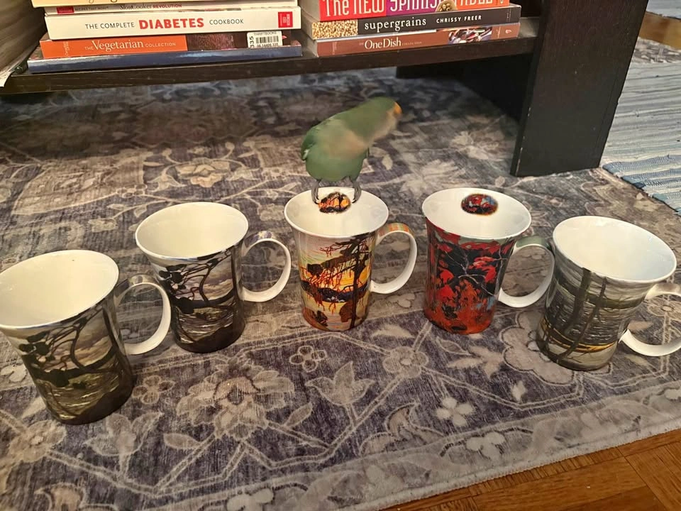 McIntosh Group of Seven Fine Bone China Mugs - Set of 5