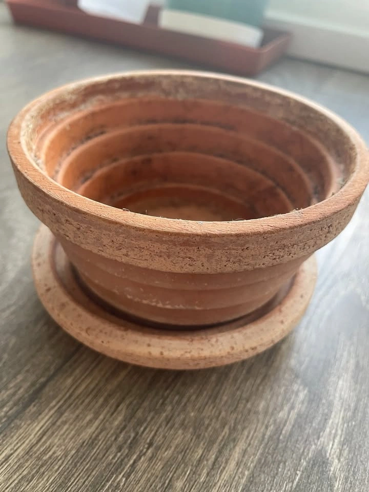 BERGS 'Mars' Unglazed Pot & Saucer - photo 2