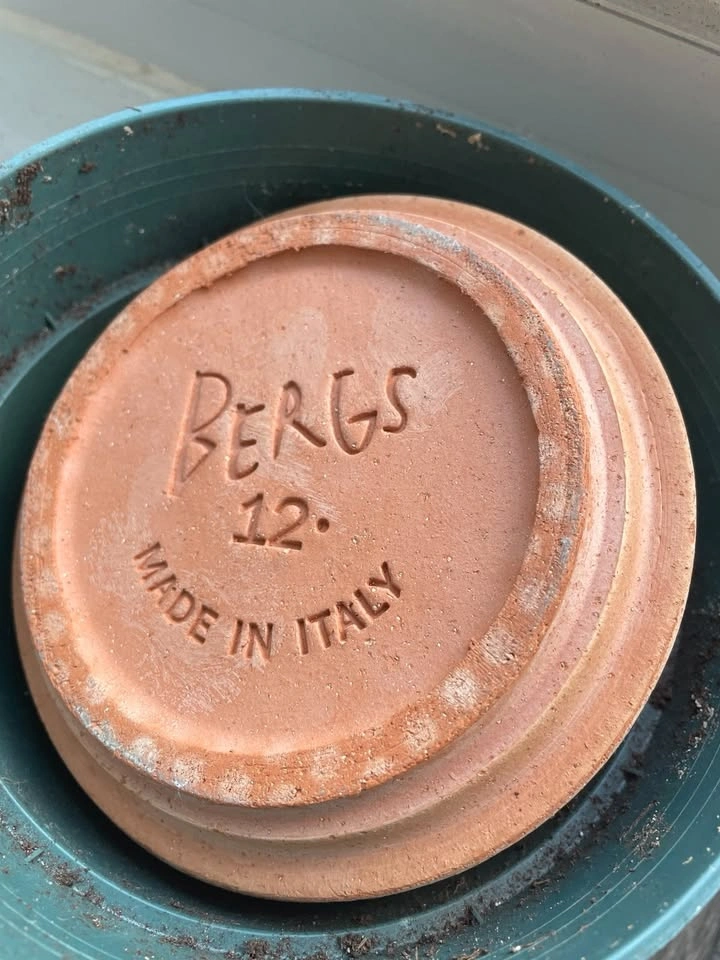 BERGS 'Mars' Unglazed Pot & Saucer - photo 3