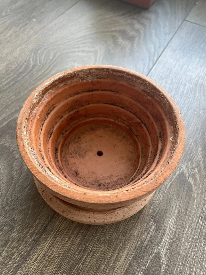 BERGS 'Mars' Unglazed Pot & Saucer - photo 4