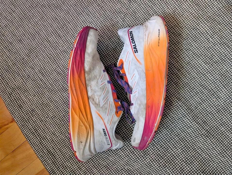 Salomon running shoe