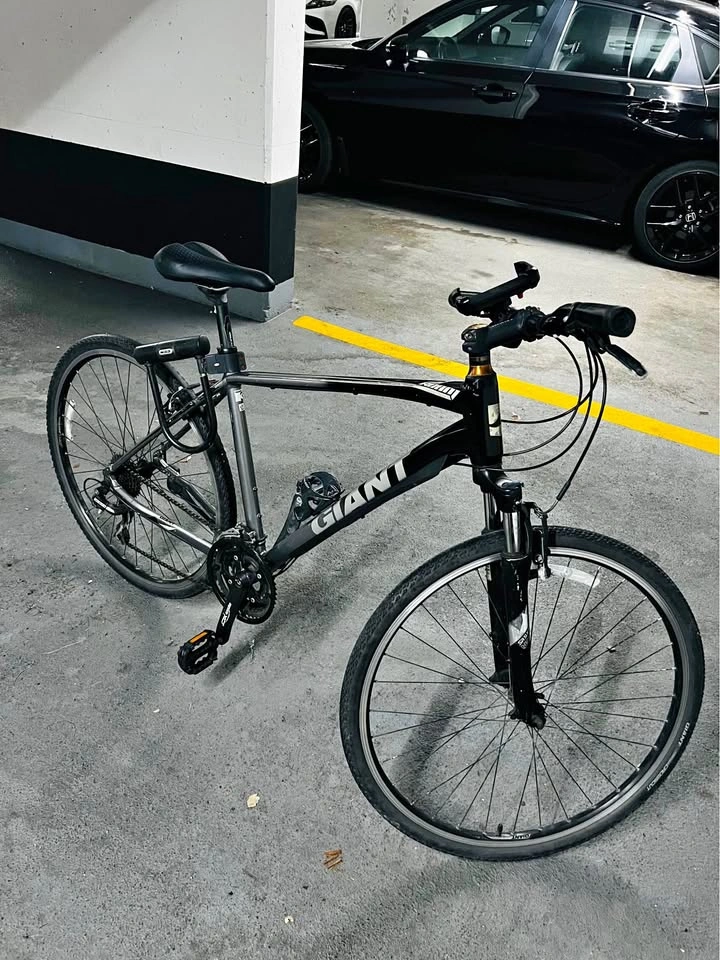 Giant Roam Hybrid Adult Bike