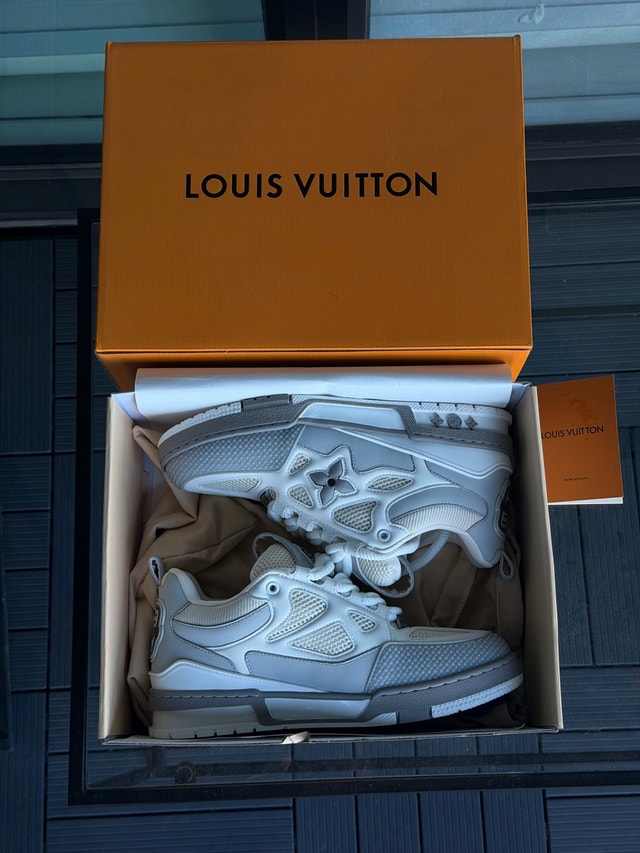 Louis Vuitton Skate Sneaker Size 9.5