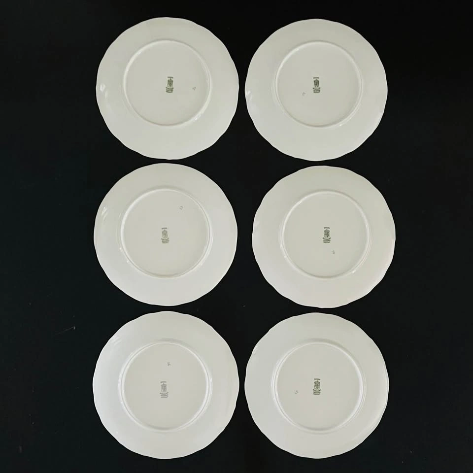 Set of 6 Bavaria Schumann Arzberg Plates Fruit Motifs - photo 2