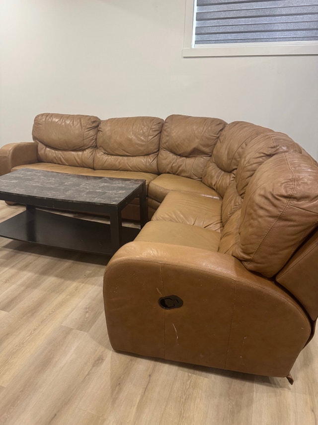 Leather Sectional Sofa Bed