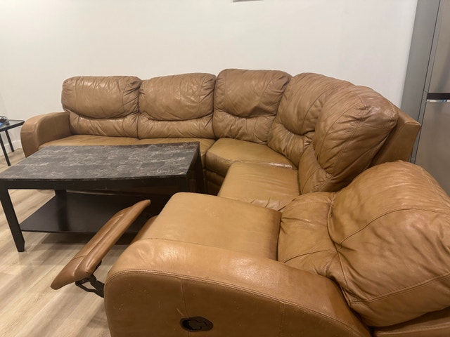 Leather Sectional Sofa Bed - photo 4