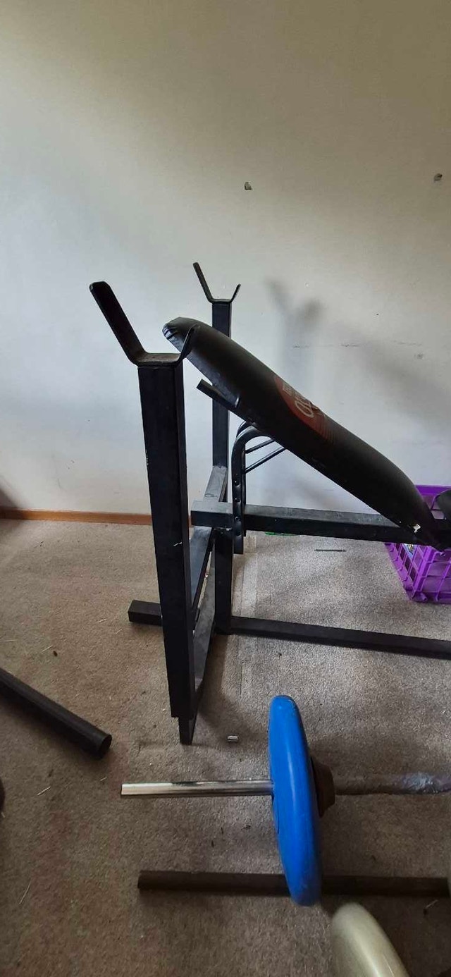 Weight bench and weights - photo 3