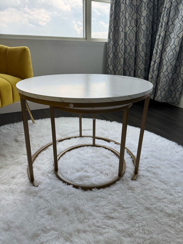 Oversized Accent Chair + coffee table + rug set - photo 4