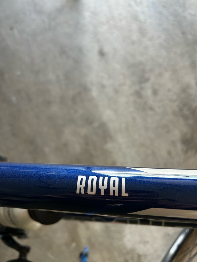 24” Nakamura Royal Hybrid Bike - photo 5