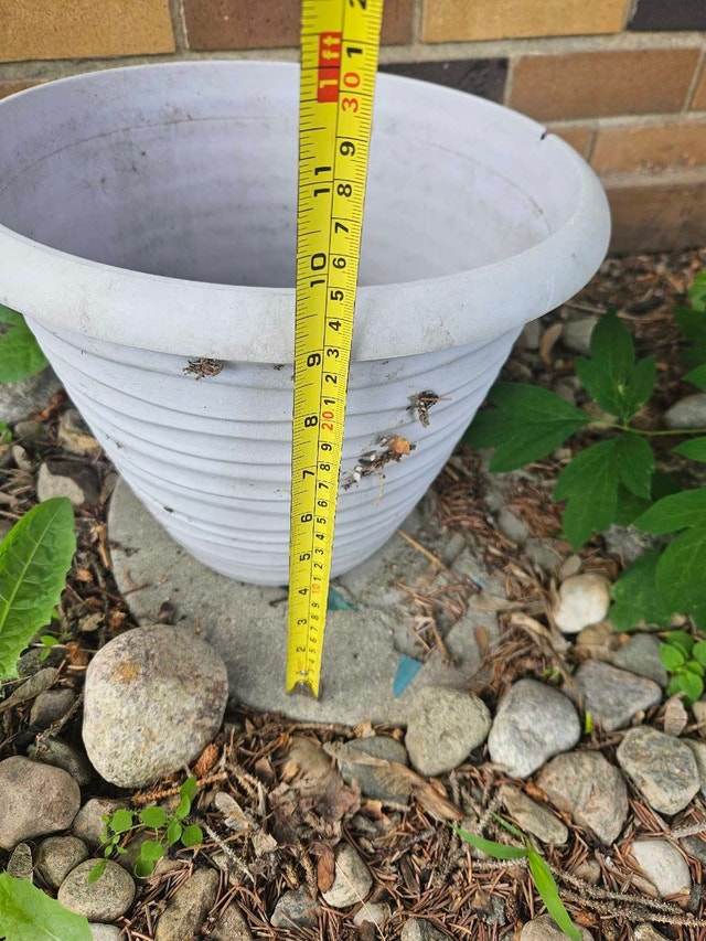 5 Outdoor Planters - photo 4