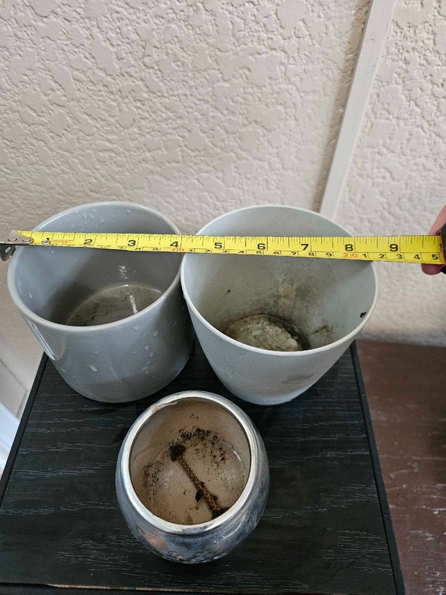 Indoor Neutral Plant Pots - photo 4
