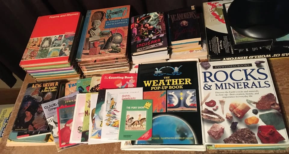 Lot of 50 Children's & Young Adult Books