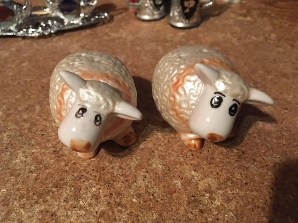 Lot of 11 Salt and Pepper Shaker Sets with Extras - photo 5
