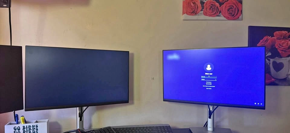 Dell 24 inch monitors