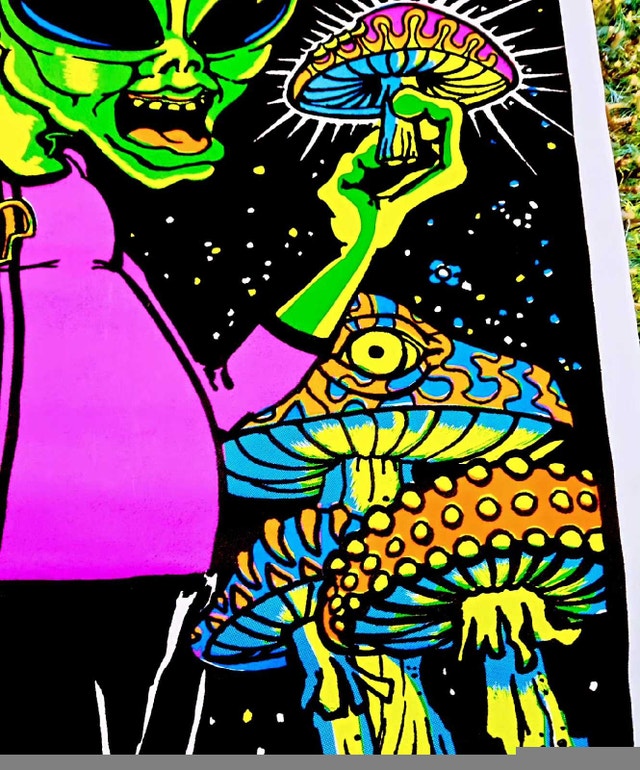 Vintage 1998 Take Me To Your Shrooms Black Lig Poster - photo 3