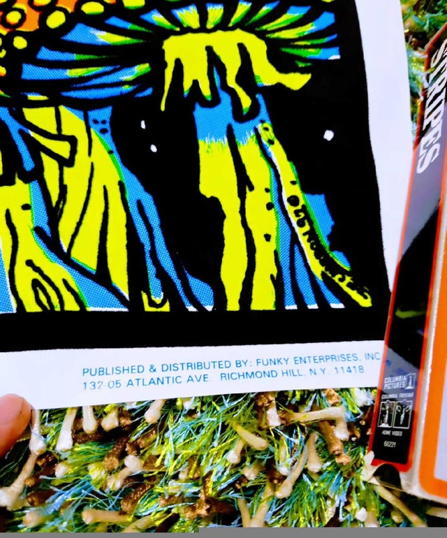 Vintage 1998 Take Me To Your Shrooms Black Lig Poster - photo 5